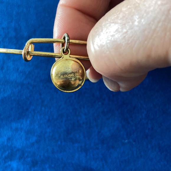 Alex and Ani Charm Bangle - Picture 3 of 6